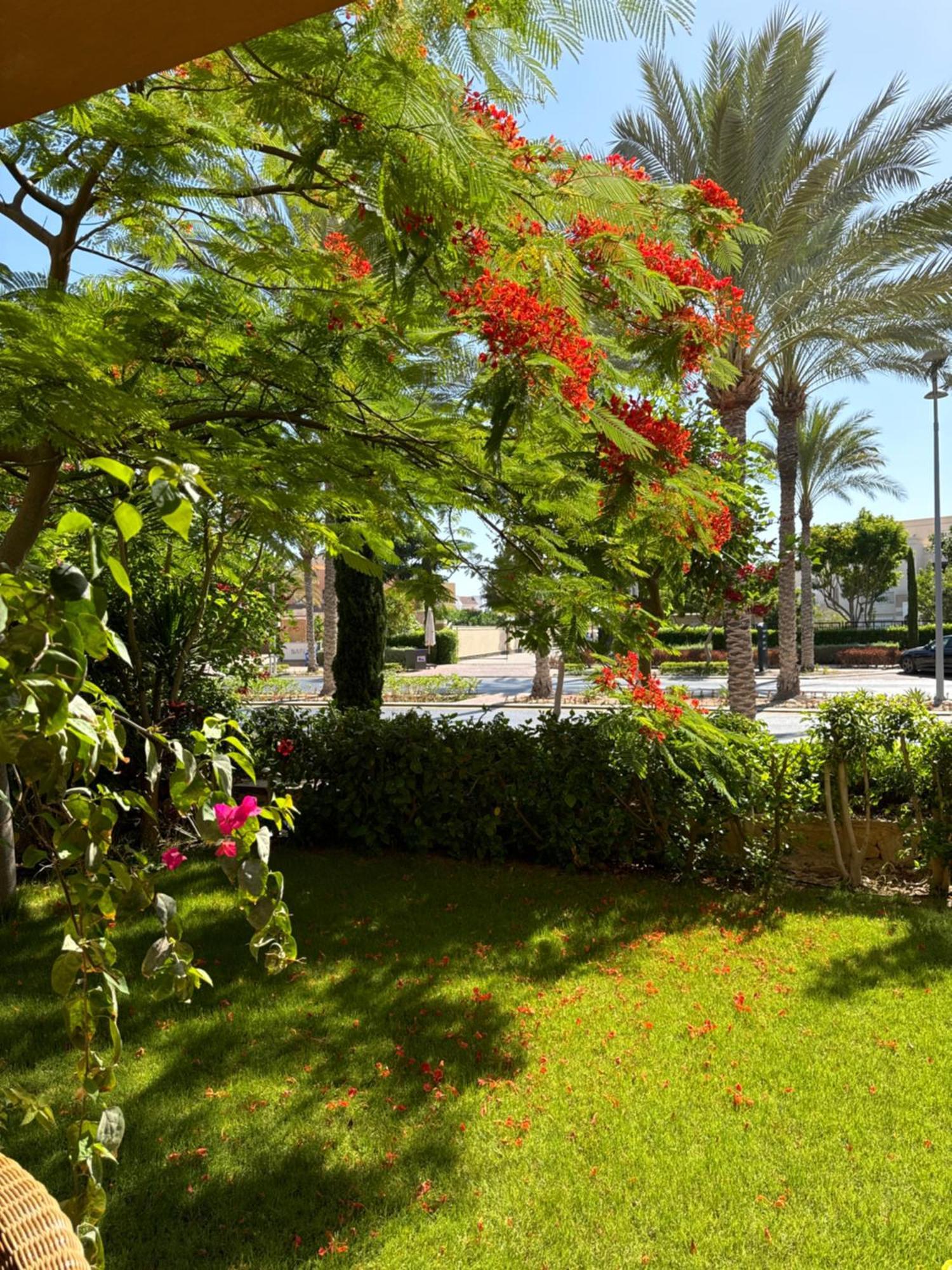 Villa Marassi,El Alamein, Twin House Verdi Exterior foto